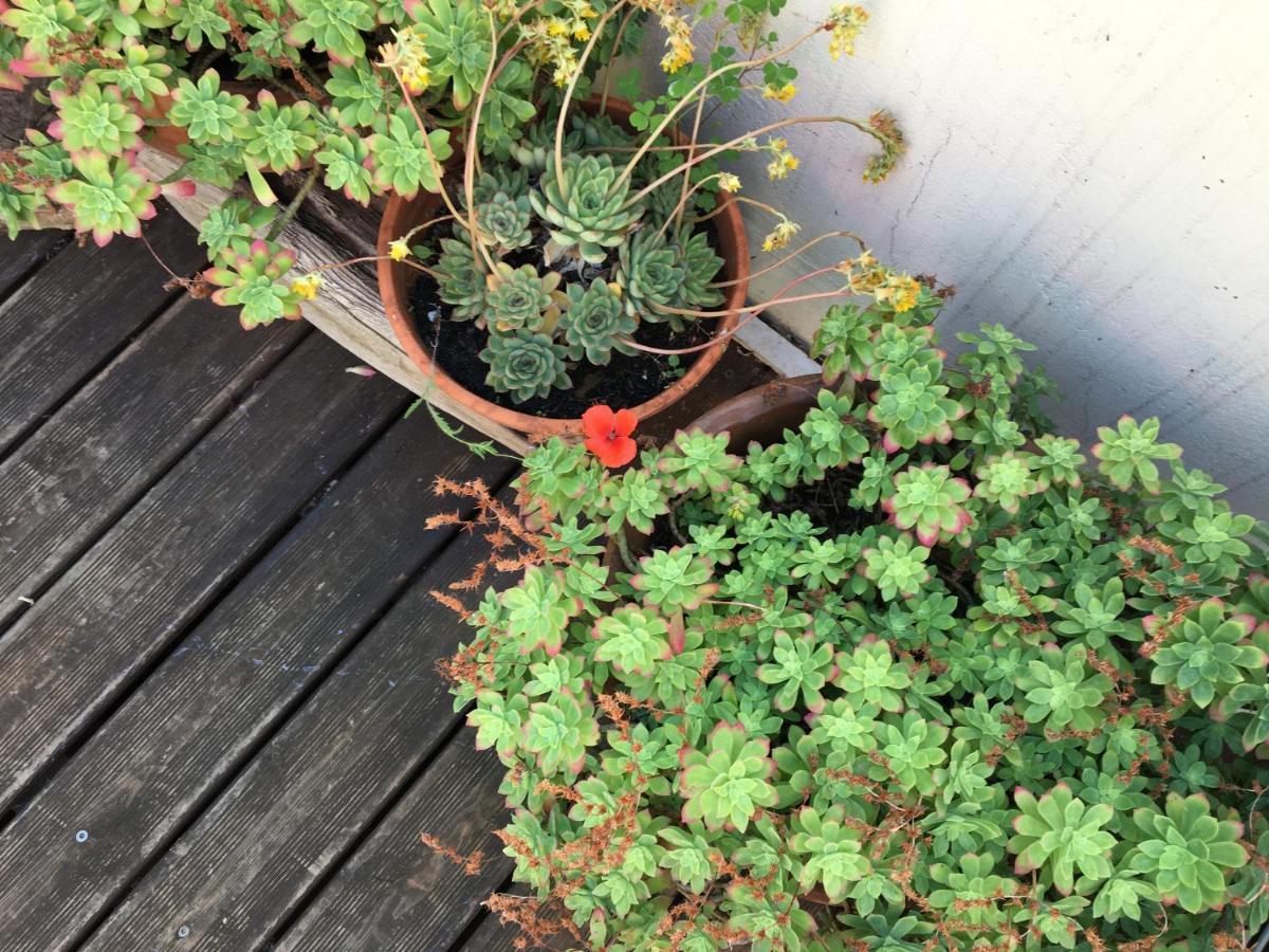 Hébergement de vacances Maison Avec Terrasse à Arles, Provence *